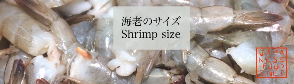 海老のサイズは世界基準（Shrimp size）