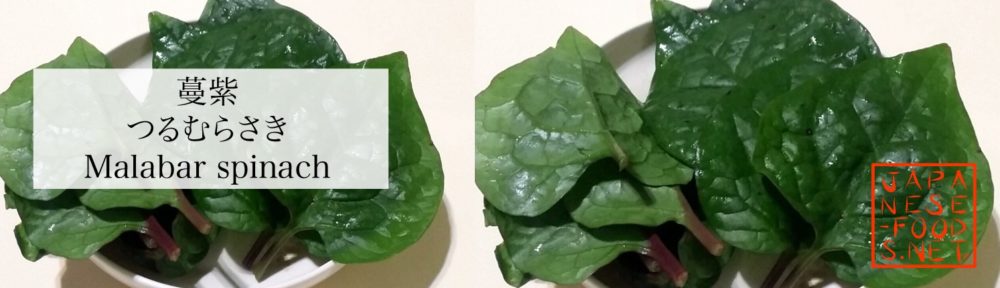 蔓紫　つるむらさき（Malabar spinach）