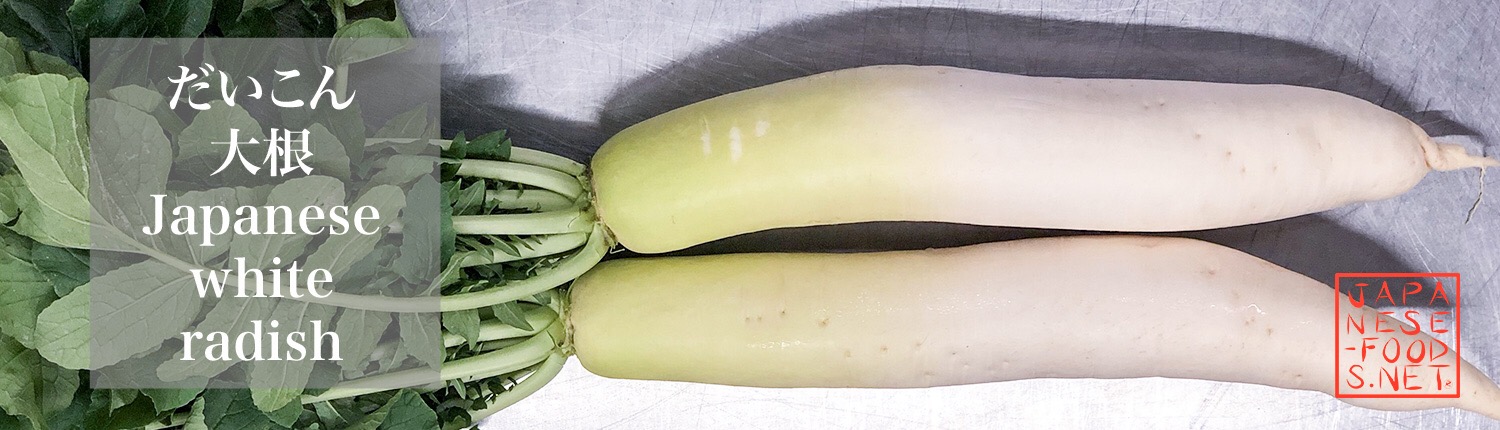 大根 だいこん（Japanese white radish）
