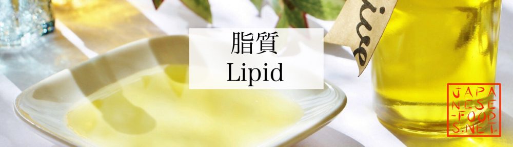 【栄養素】脂質（Lipid）