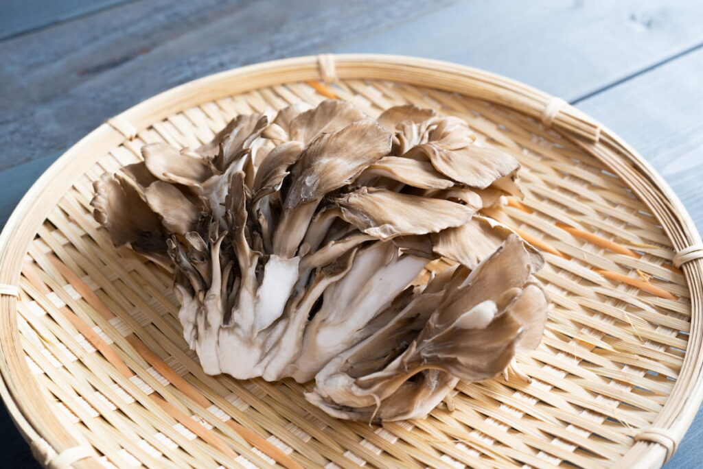 生の舞茸をざるに盛った写真｜そのままでも褐変反応を起こすポリフェノールを含む