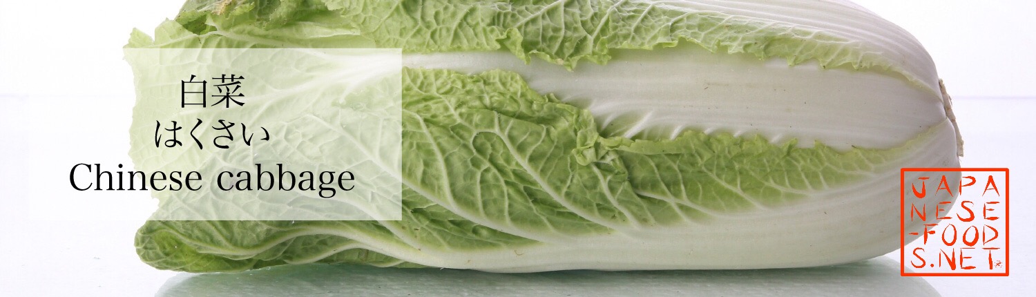 白菜　はくさい（Chinese cabbage）の特徴と栄養素