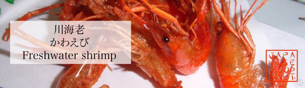 川海老　かわえび（Freshwater shrimp）