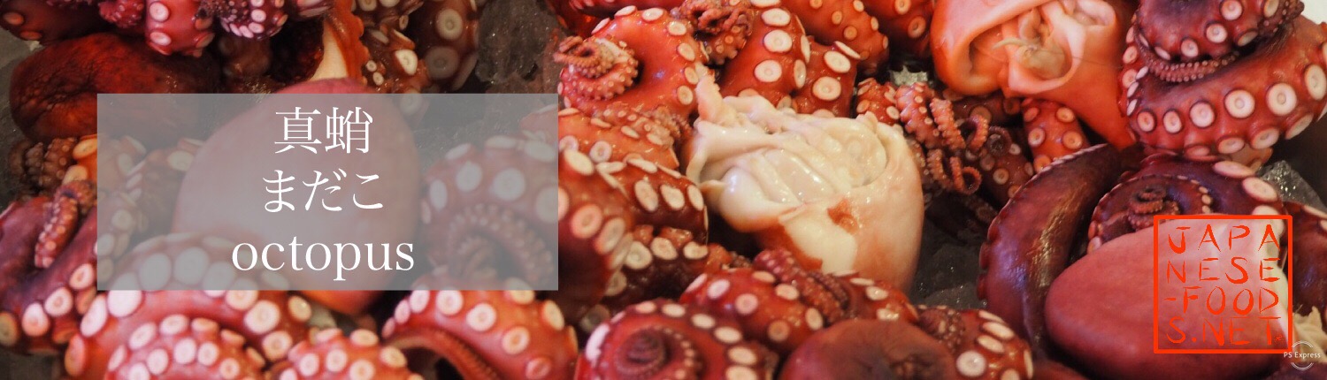 真蛸　まだこ（octopus）