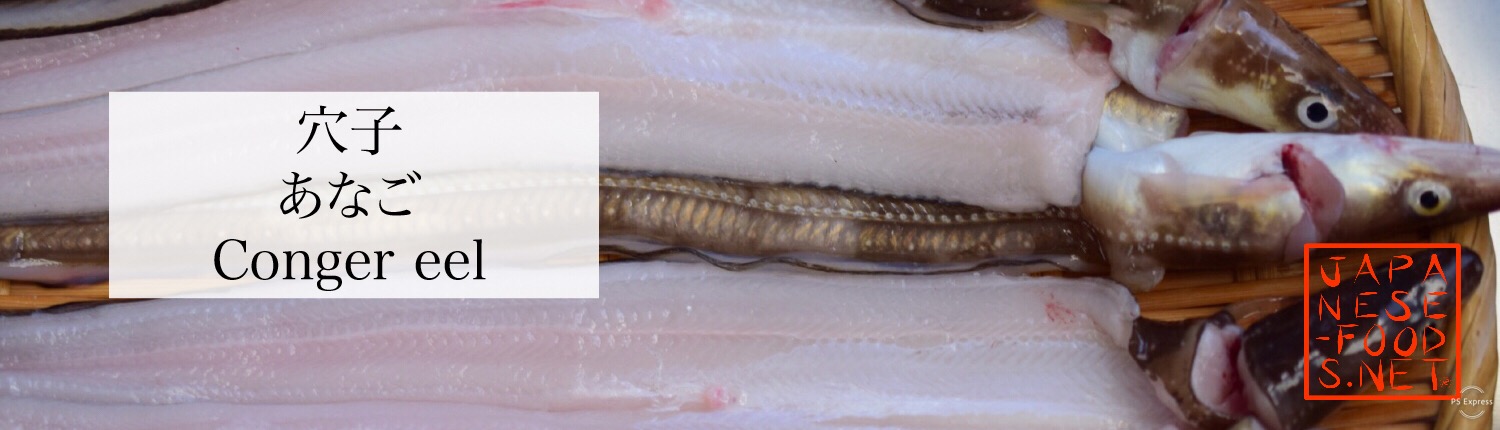 新鮮な穴子をさばく様子｜艶のある身が美味しさの証