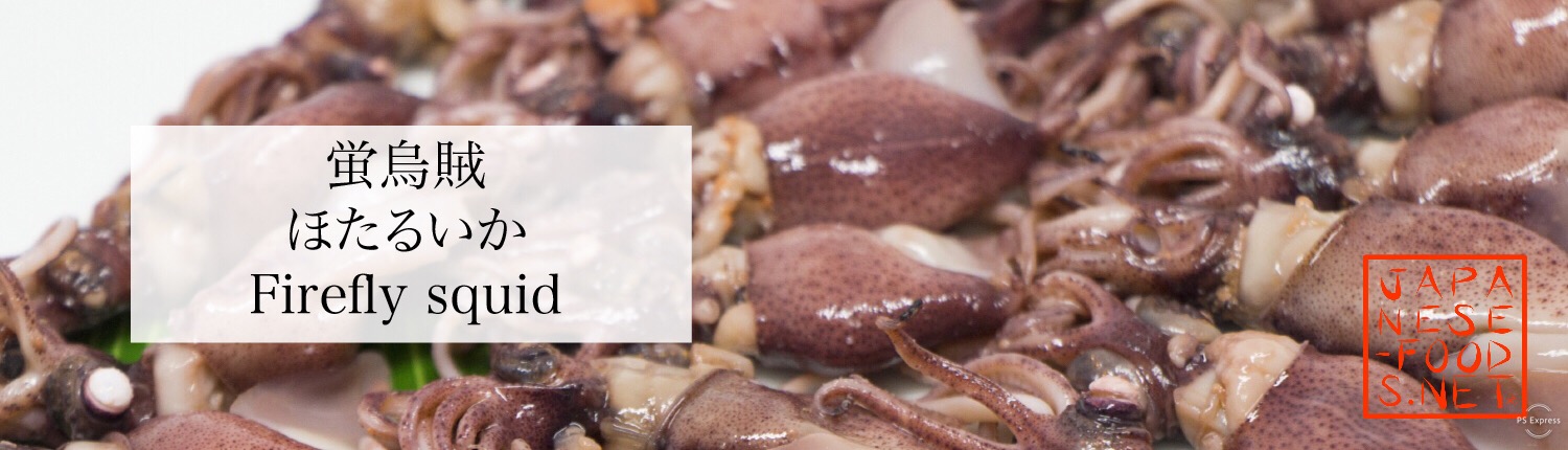 蛍烏賊　ほたるいか（Firefly squid）