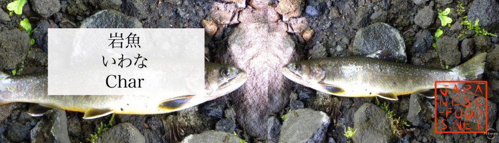 岩魚　いわな（Char）～標高の最も高い渓流に住む幻の魚～