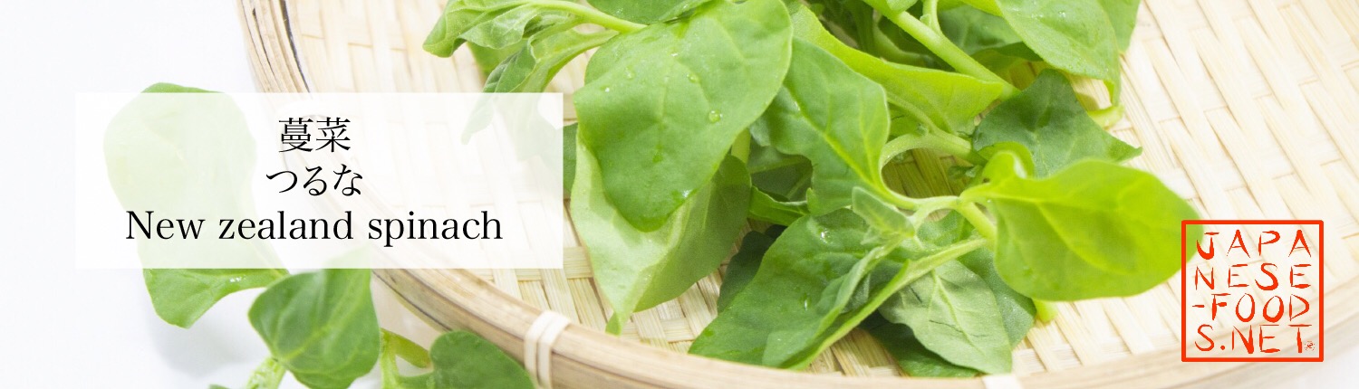 蔓菜　つるな （New zealand spinach）
