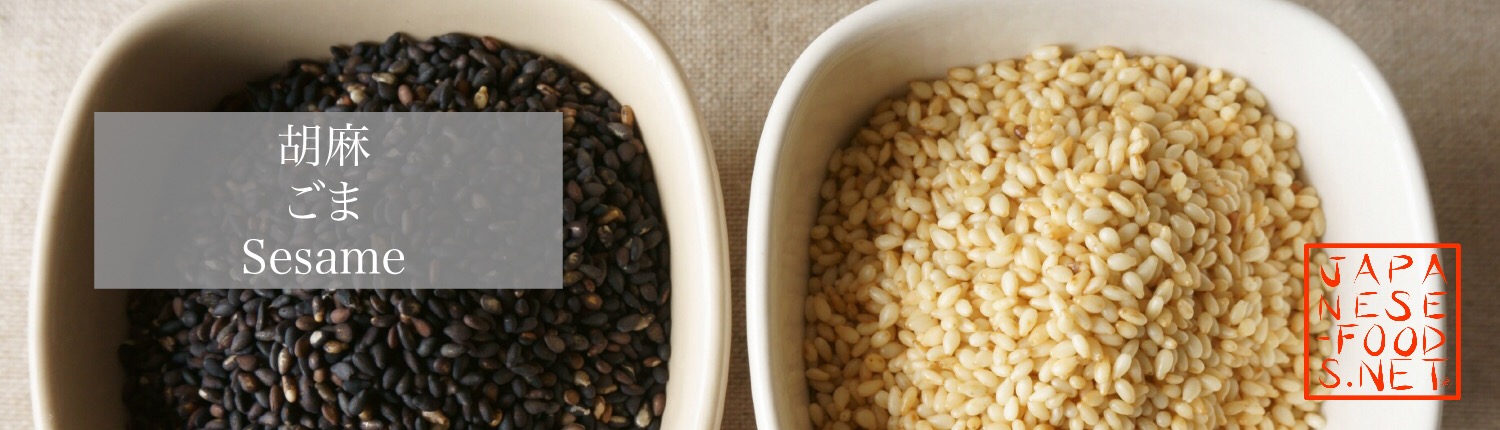 胡麻　ごま（Sesame）