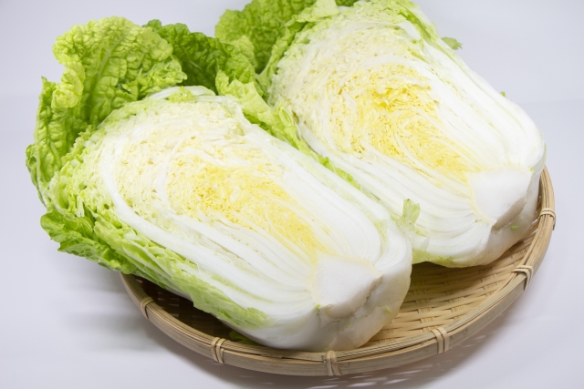 白菜　はくさい（Chinese cabbage）