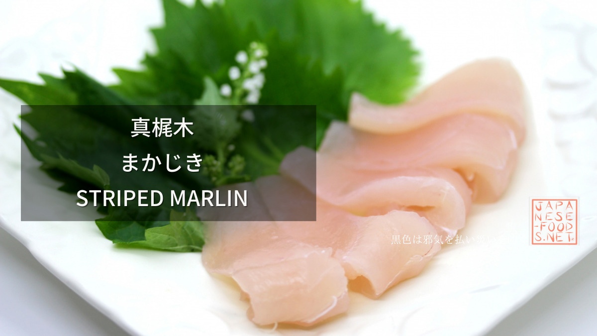 真梶木　まかじき（Striped marlin）