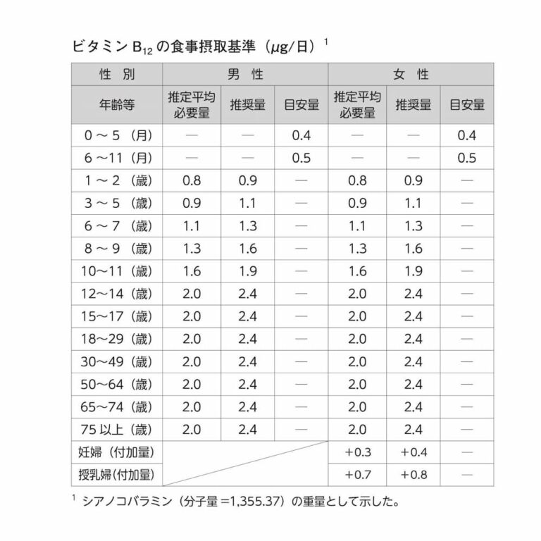 【栄養素】ビタミンB12（Vitamin B12）