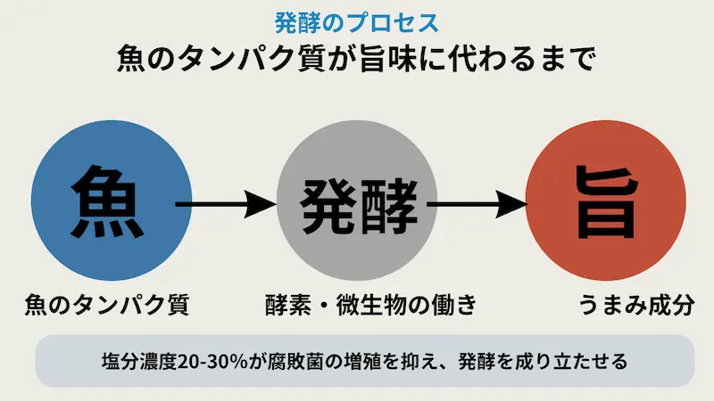 魚醤はどうやって発酵する?製造工程を調理師が解説