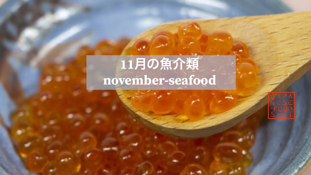 11月　旬の魚介類