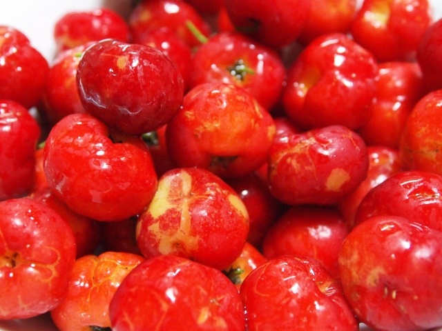 西印度櫻桃　アセロラ　Acerola