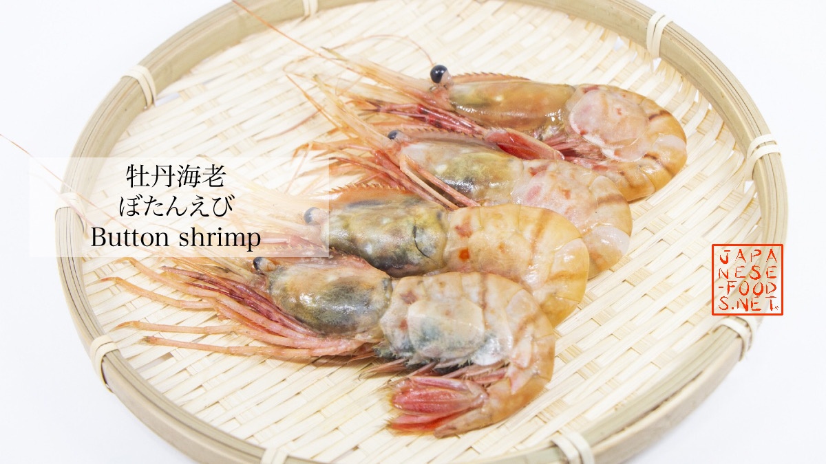 牡丹海老 ぼたんえび Button Shrimp の特徴と栄養素japanese Food Net