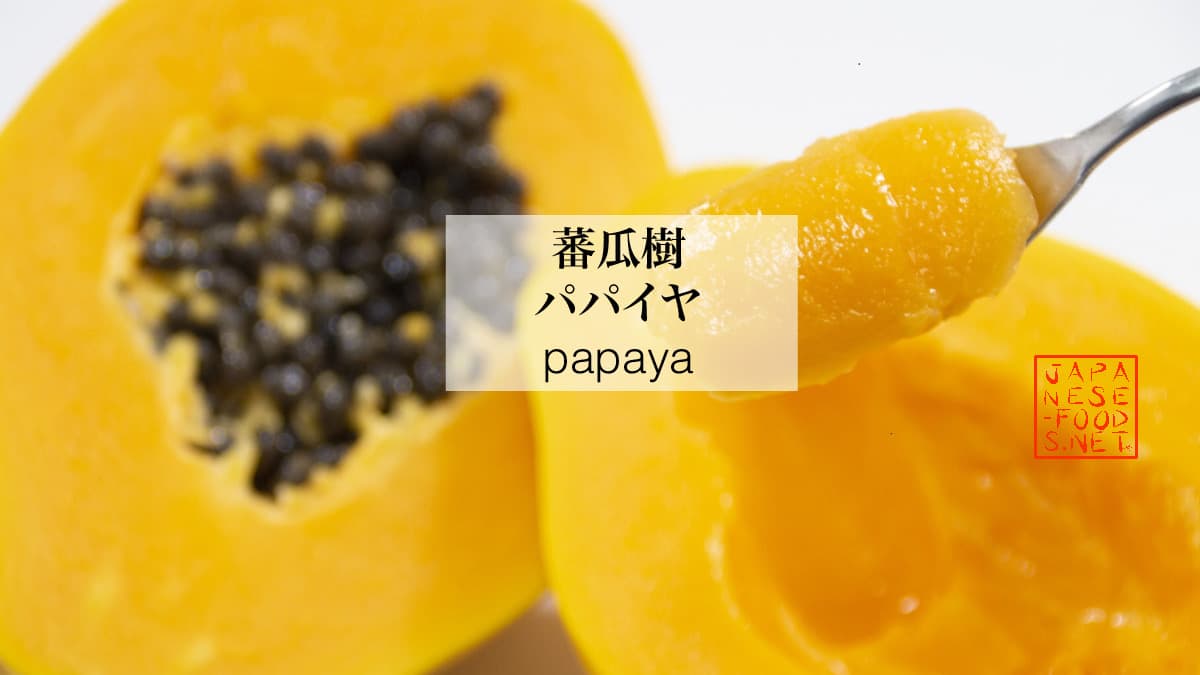 蕃瓜樹 パパイヤ Papaya の特徴と栄養素 Japanese Food Netjapanese Food Net