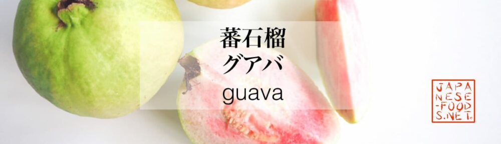 蕃石榴　グアバ（guava）