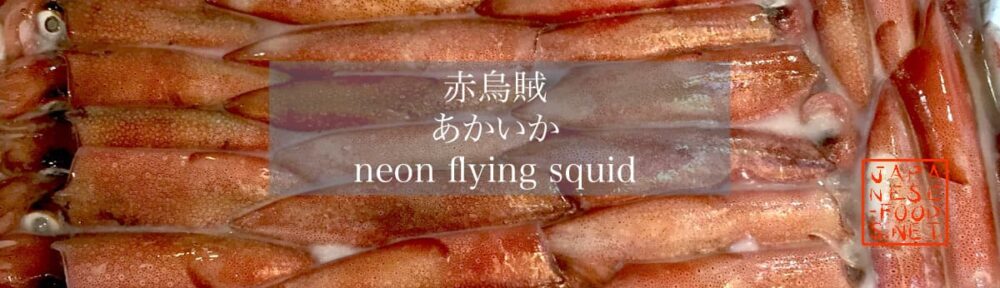 赤烏賊　あかいか（neon flying squid）