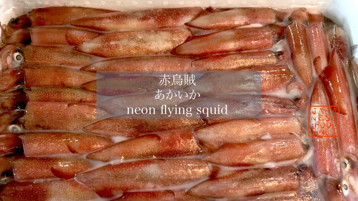 赤烏賊 あかいか Neon Flying Squid の特徴と栄養素japanese Food Net