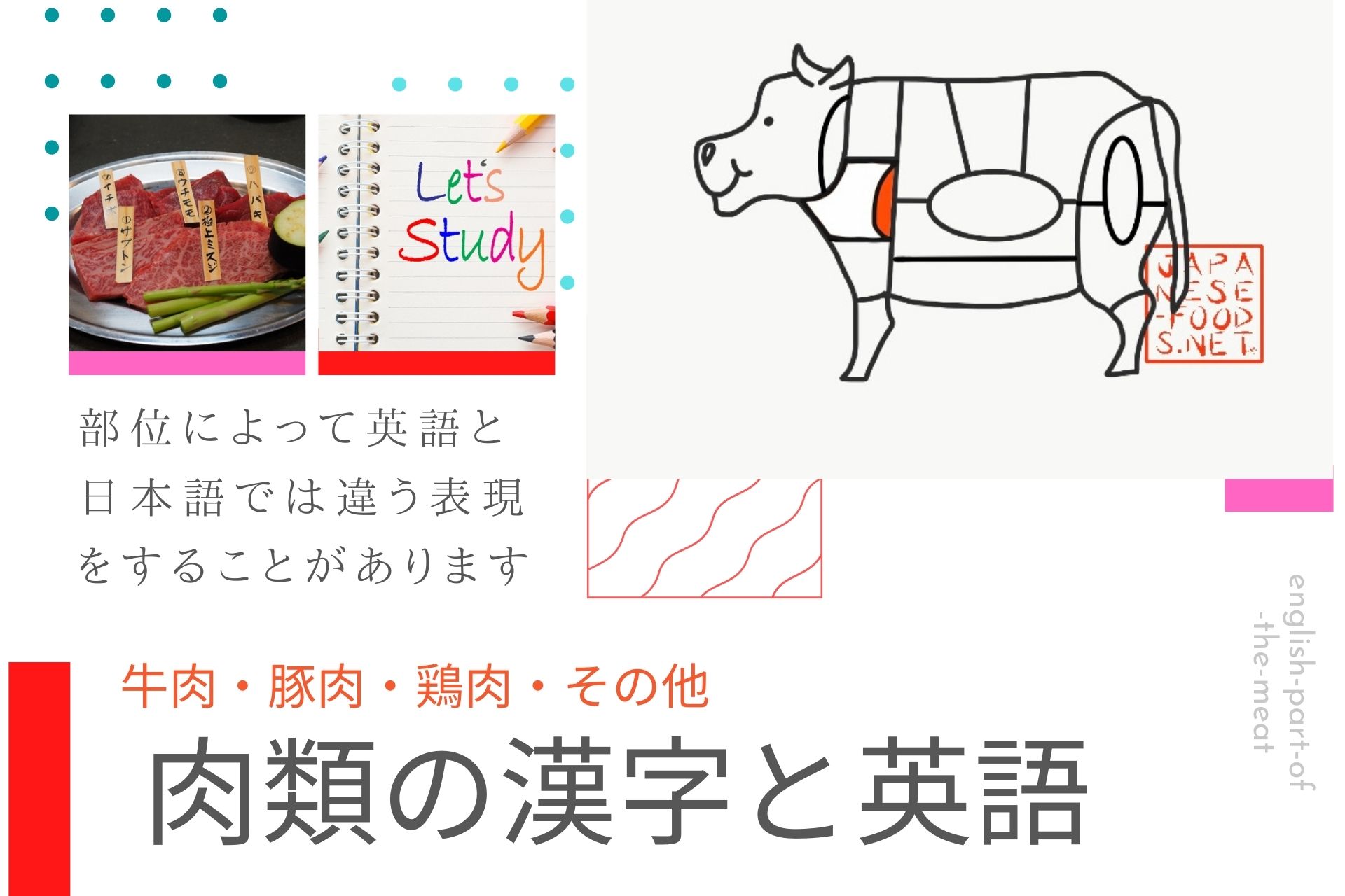 肉類の 漢字と英語