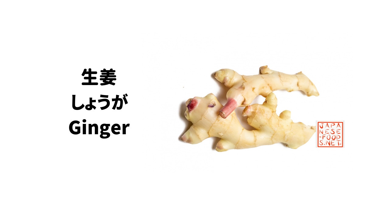 生姜　しょうが　（Ginger）