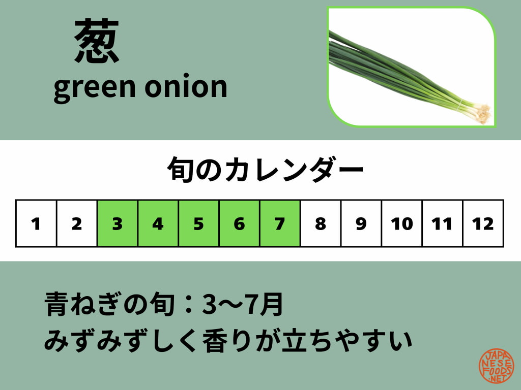 青ねぎ(葉ねぎ)の旬カレンダー。旬の目安は3〜7月で、青ねぎは通年出回る