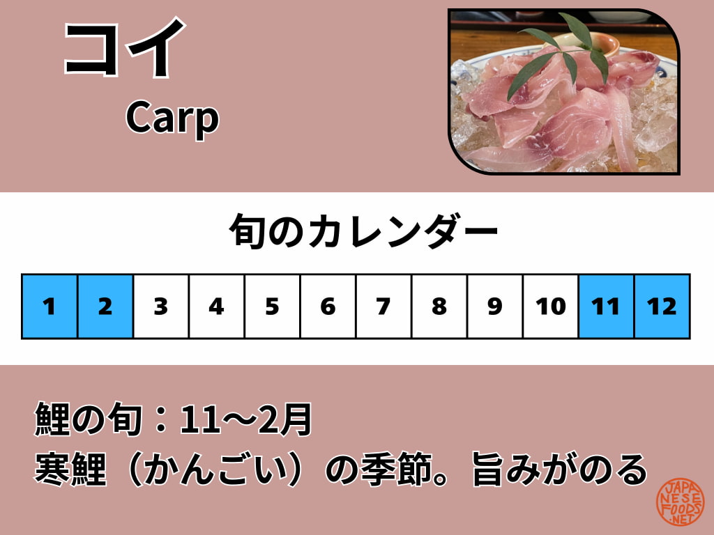 鯉（こい）の旬カレンダー。旬の目安は11〜2月で、冬の寒鯉（かんごい）が食べごろ