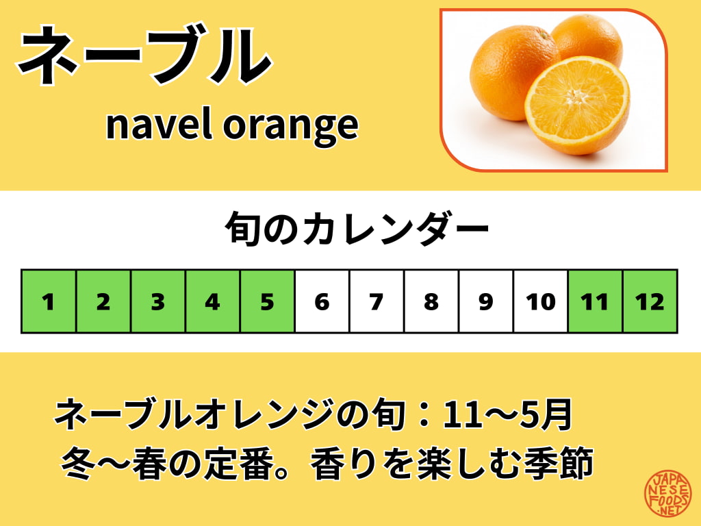 ネーブルオレンジの旬カレンダー。出回りの目安は11〜5月で、冬〜春が食べご