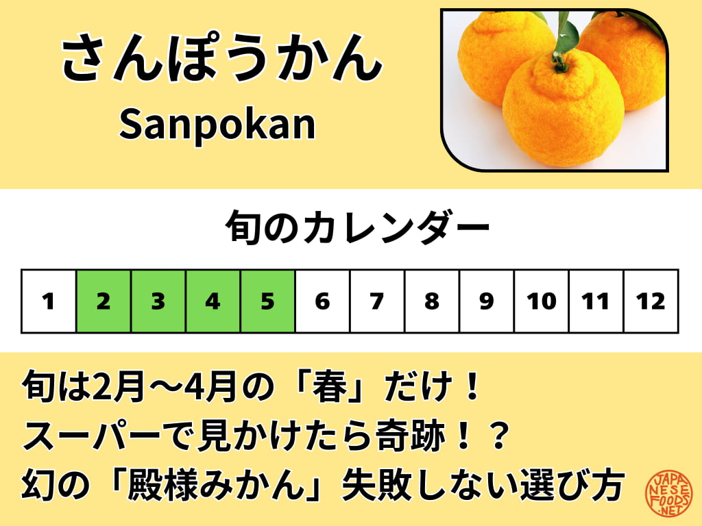 三宝柑（さんぽうかん）の旬がわかるカレンダー画像。2月から4月（一部5月）の春先が食べ頃と色付けされている。別名「殿様みかん」とも呼ばれる希少な柑橘で、スーパーで見つけたら即買い推奨というメッセージ入り。