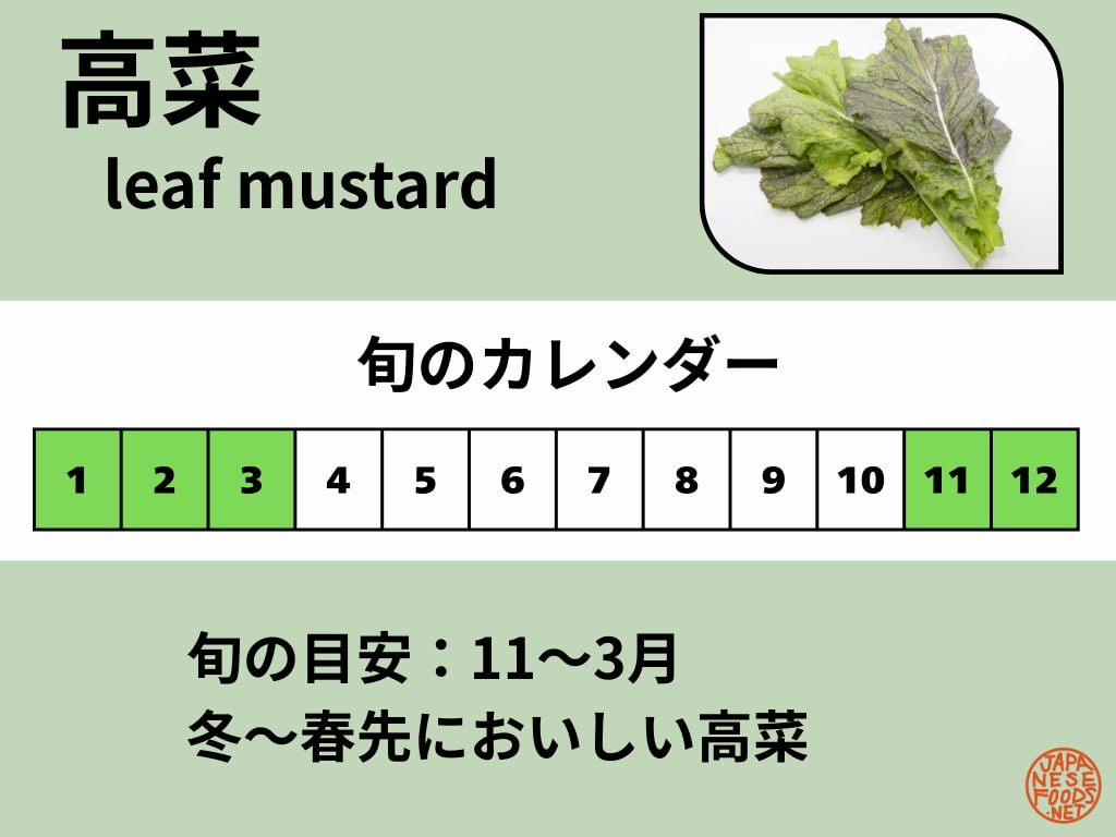 高菜の旬カレンダー。旬の目安は11〜3月で、冬〜春先に出回る