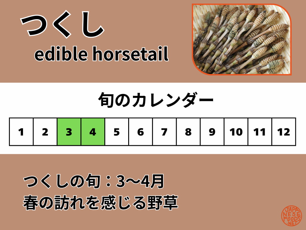 つくし（食用）の旬カレンダー。旬の目安は3〜5月で、春が食べごろ