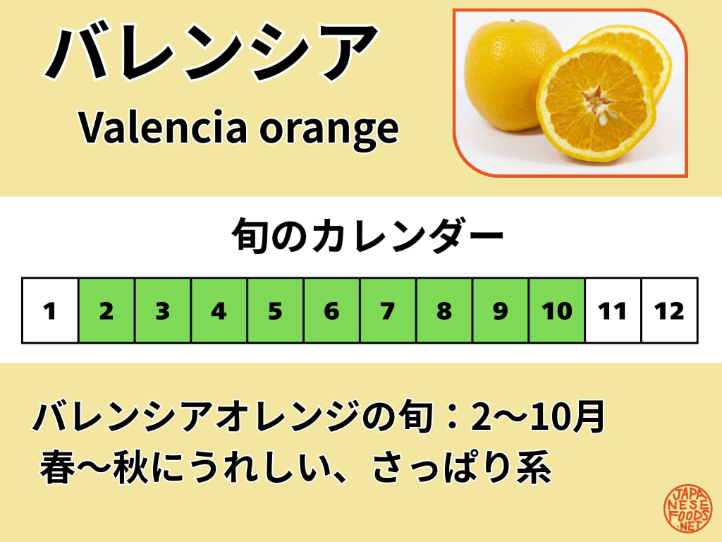バレンシアオレンジの旬カレンダー。出回りの目安は2〜10月で、春〜秋に楽しめる。