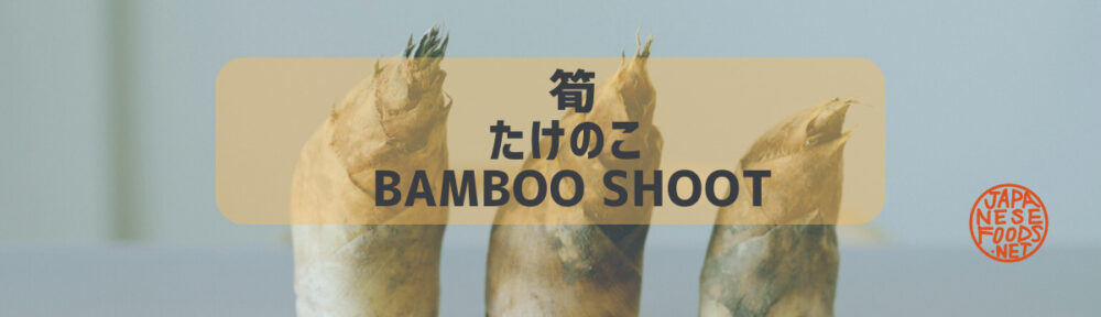 筍　たけのこ （bamboo shoot ）の旬と栄養素