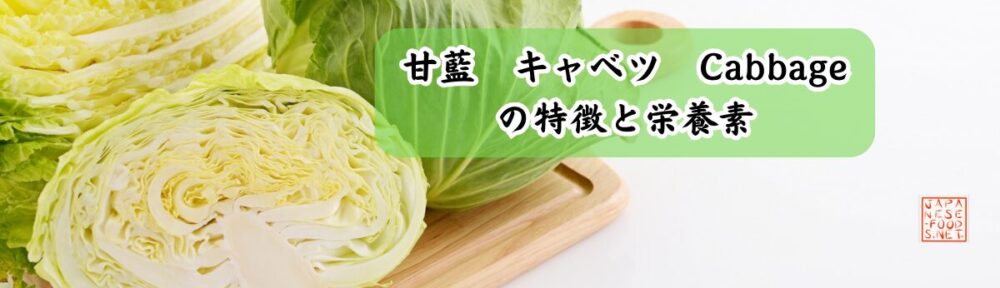 甘藍　キャベツ　Cabbage の特徴と栄養素
