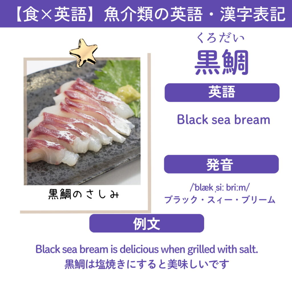 黒鯛（チヌ）の英語表記「Black sea bream」カード画像