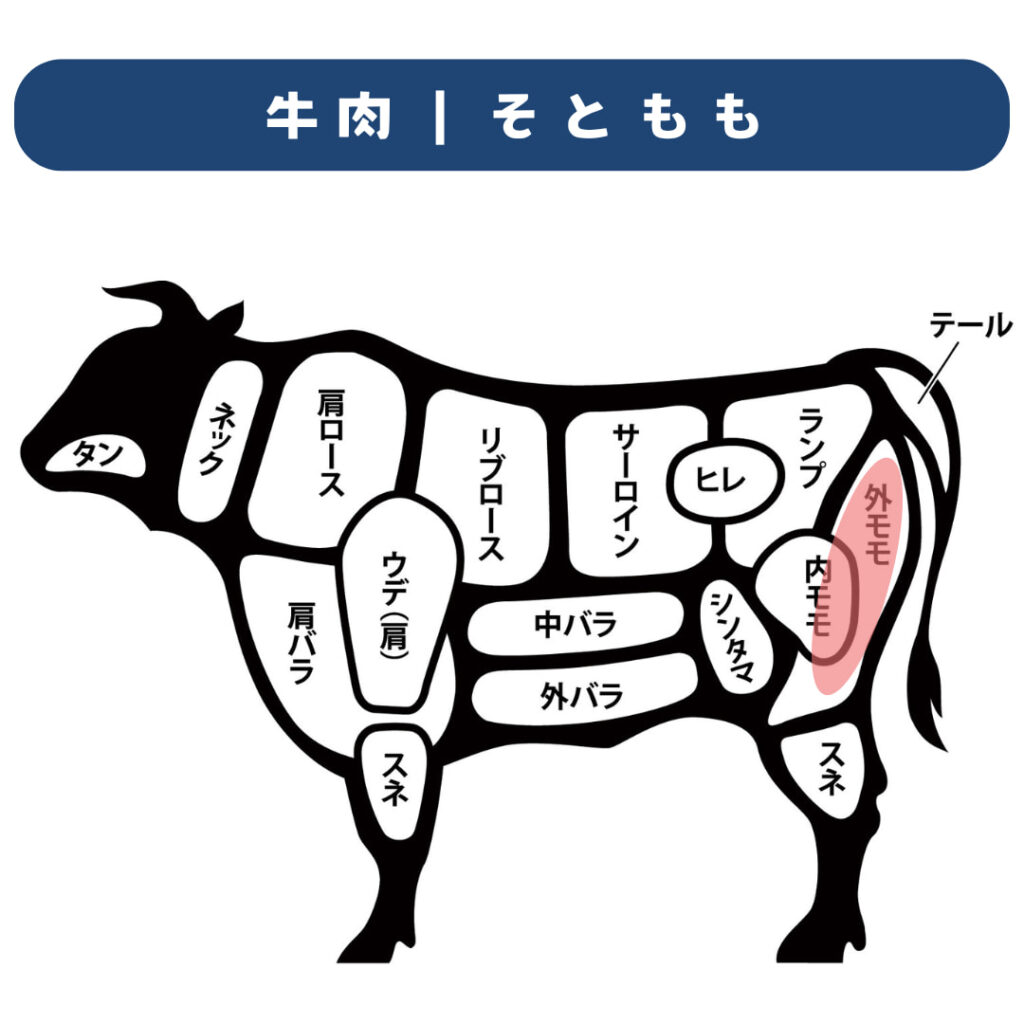 牛肉 部位図｜外モモ（ソトモモ）の位置を示すイラスト｜後ろ脚の外側に位置
