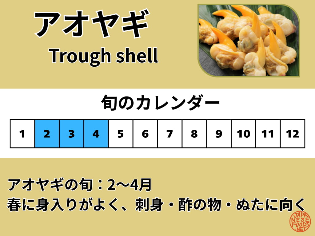 アオヤギの旬を示したカレンダー（2月〜4月）