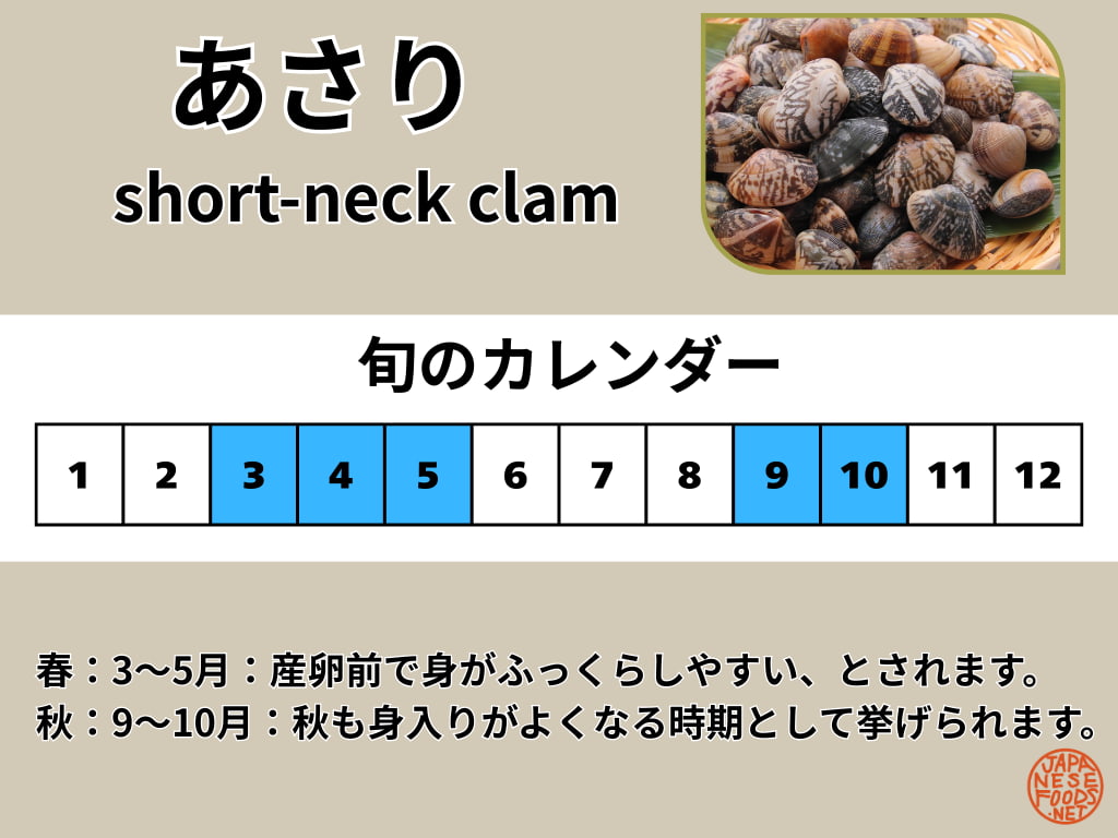 浅利(あさり)の旬を示したカレンダー(3〜5月・9〜10月)