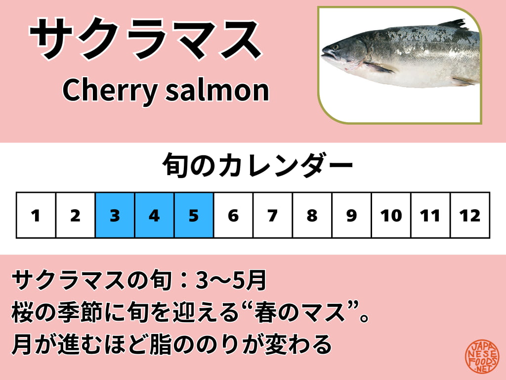サクラマスの旬を示したカレンダー(3月〜5月)