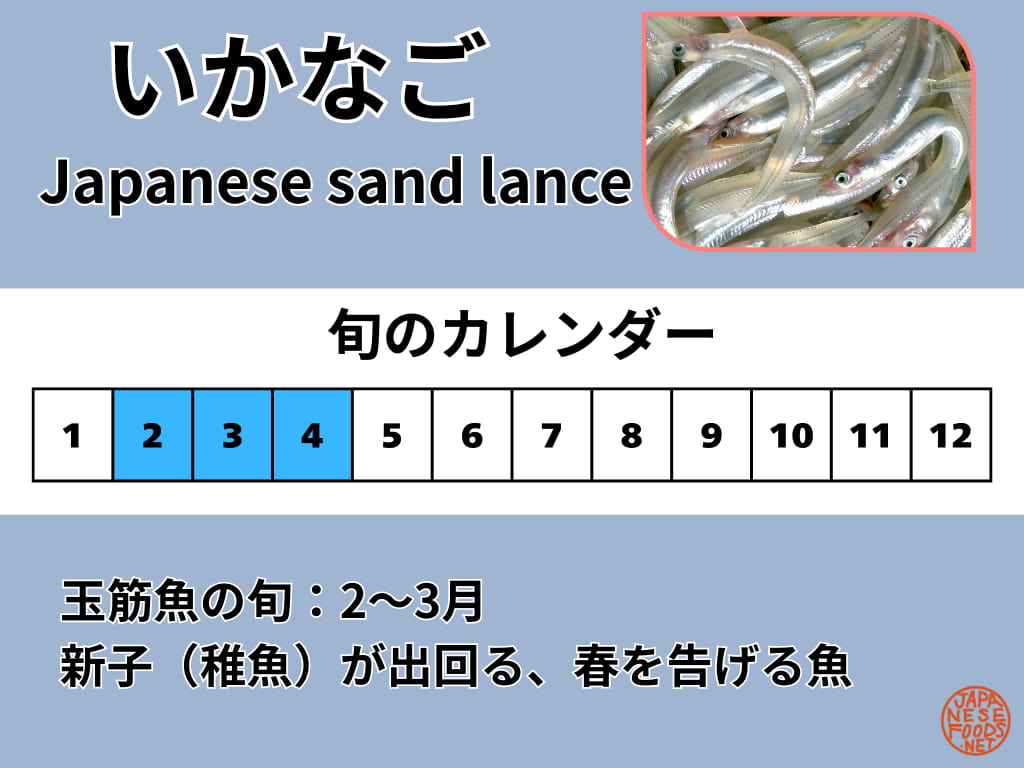 玉筋魚（いかなご）の旬を示したカレンダー（2月〜3月）