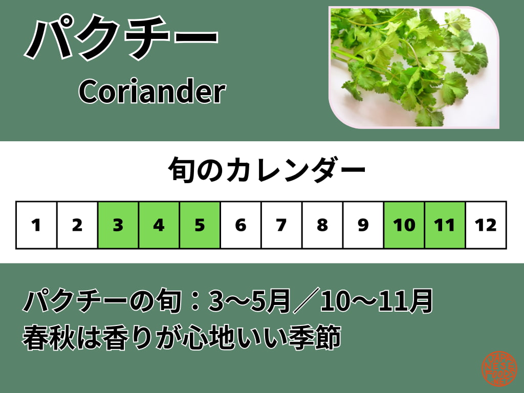 パクチー（香菜）の旬カレンダー。旬の目安は春3〜5月と秋10〜11月で、春秋が食べごろ