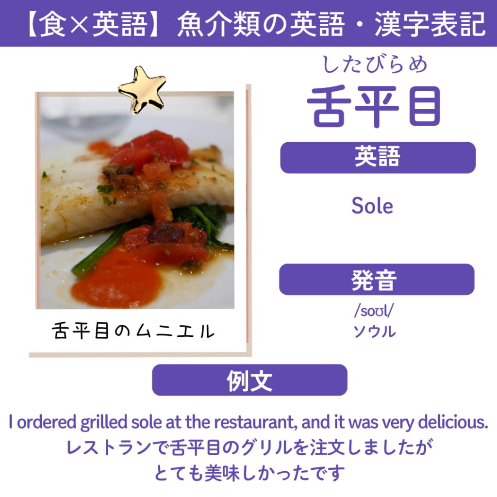 舌平目(sole)の英語表記カード