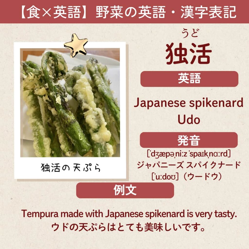 独活(うど)の漢字と英語表記 Japanese spikenard・Udo をまとめたカードデザイン