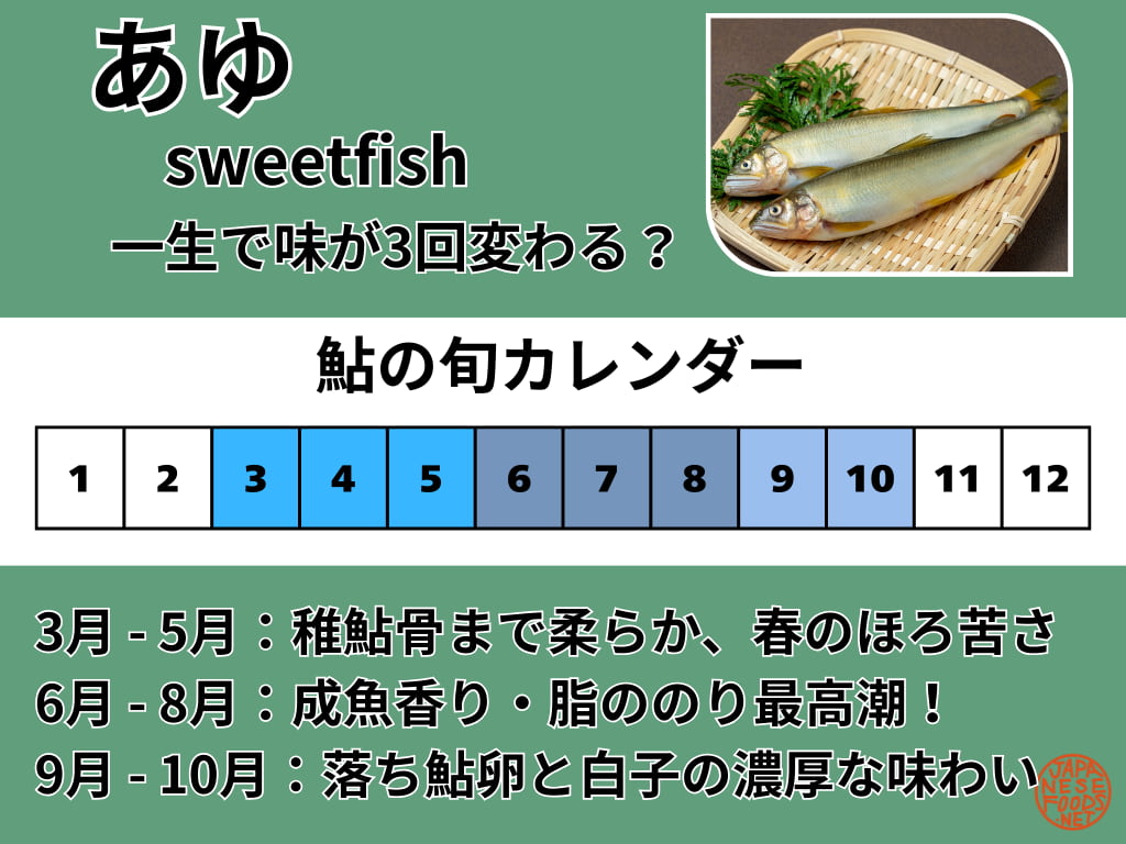 鮎（あゆ/Sweetfish）の旬をまとめたカレンダー画像。3-5月の稚鮎、6-8月の成魚、9-10月の落ち鮎と、時期ごとの味わいやおすすめの食べ方を色分けで解説。右上に鮎の塩焼きのイメージ写真。
