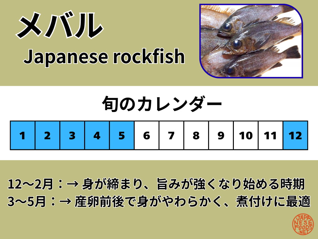 メバル（Japanese rockfish）の旬を示したカレンダー（12月〜5月）