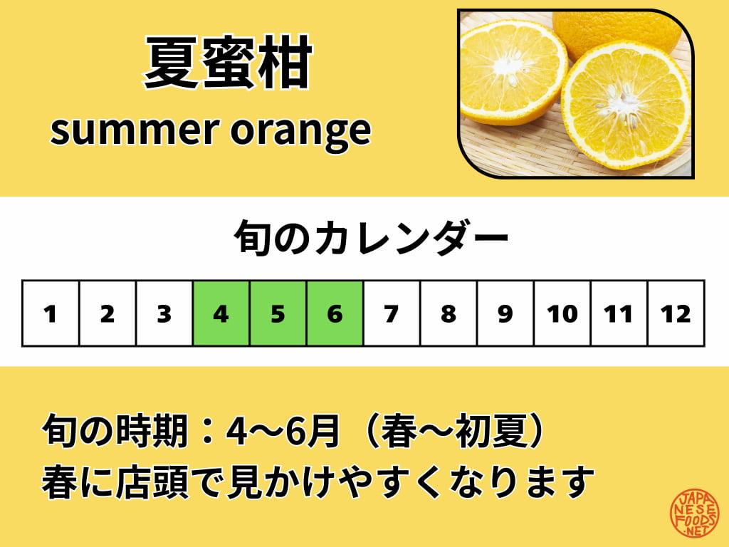 夏蜜柑（なつみかん／夏橙）の旬カレンダー画像。英語表記はsummer orangeで、旬は4〜6月（春〜初夏）