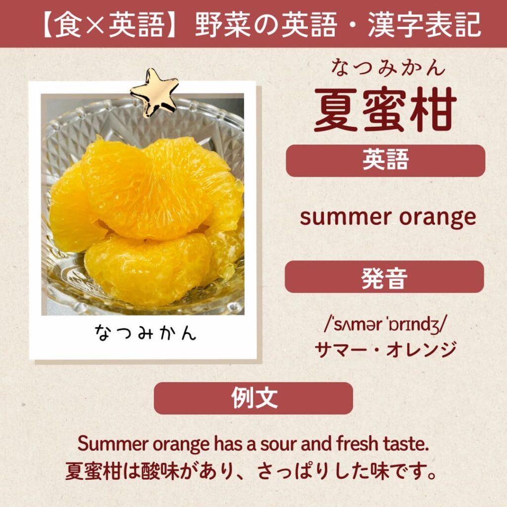 夏蜜柑（なつみかん／夏橙）の英語表記「summer orange」と発音、例文をまとめた解説画像