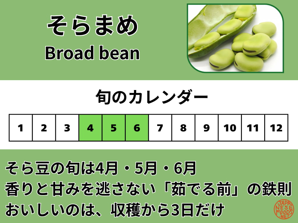 そら豆の旬のカレンダー。4月から6月が最も味が良く、サヤが下を向いた時が食べ頃であることを示す図解。