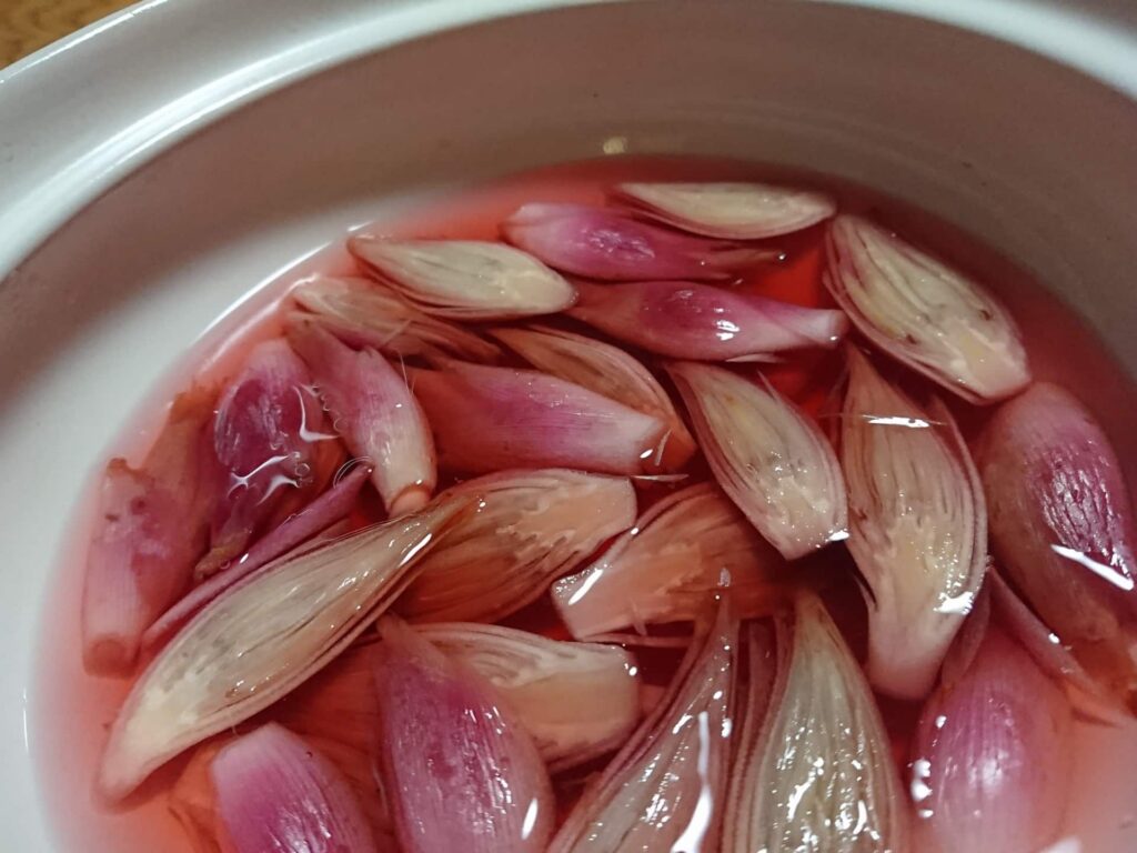 酢漬けにした茗荷（みょうが）